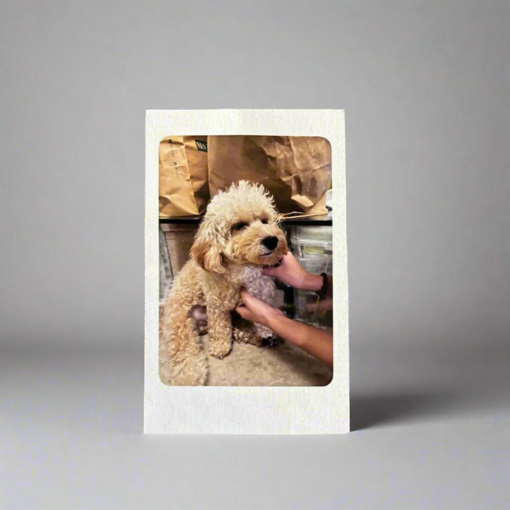 Polaroid Print