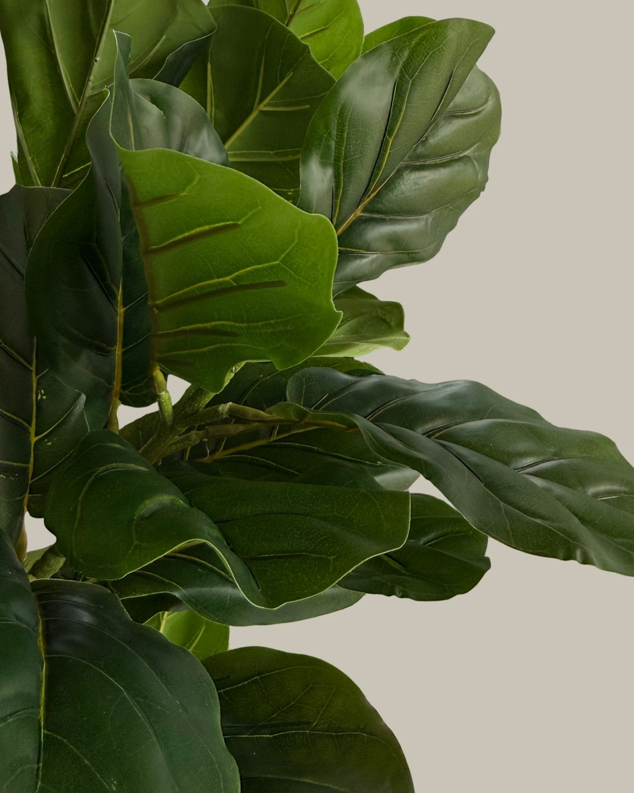 Faux Potted Fiddle Fig Leaf Tree 150CM
