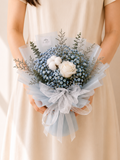 Aster Blue*