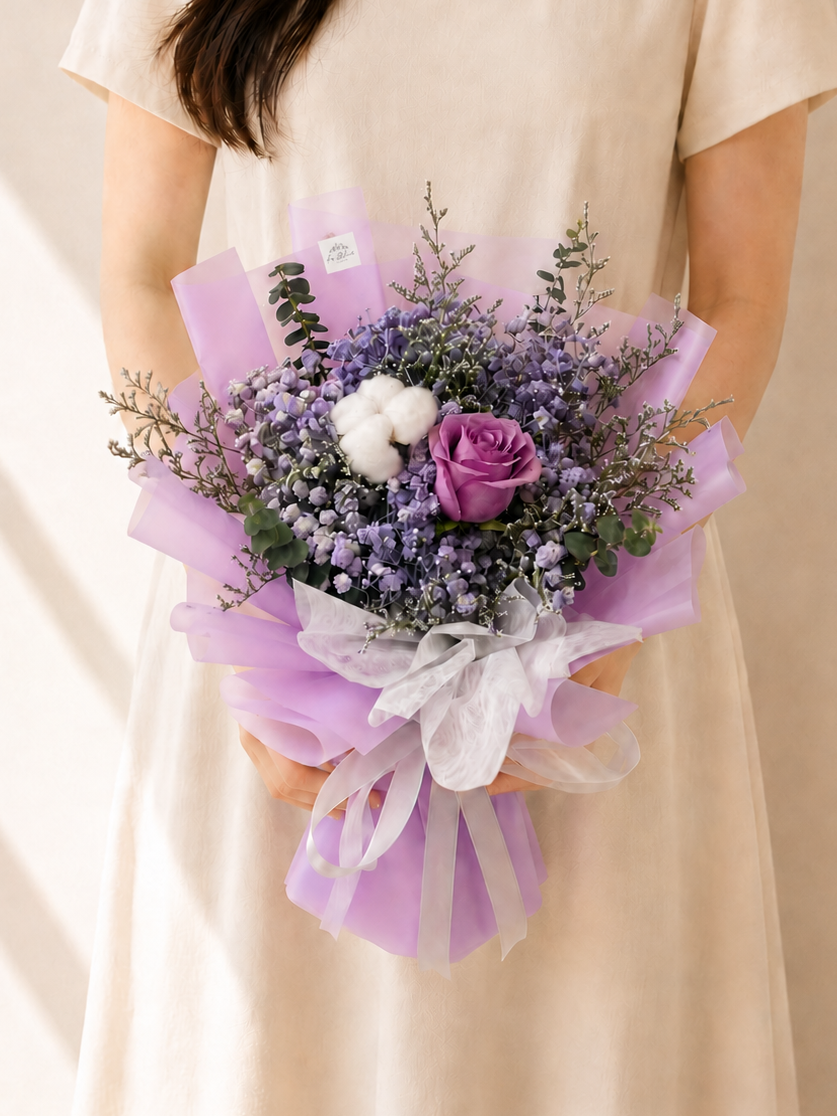 Aster Purple*