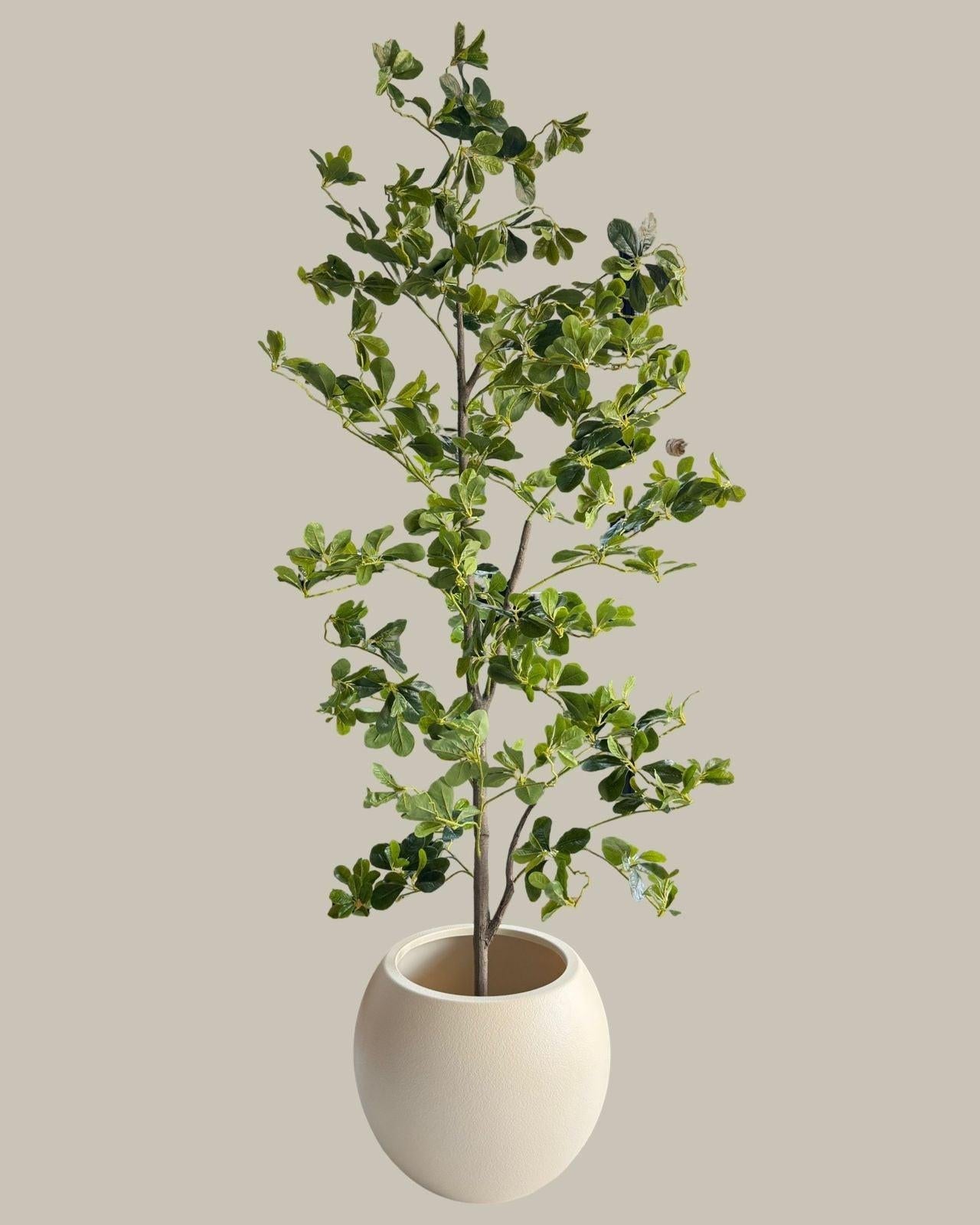 Faux Lifelike Black Olive Tree 180CM