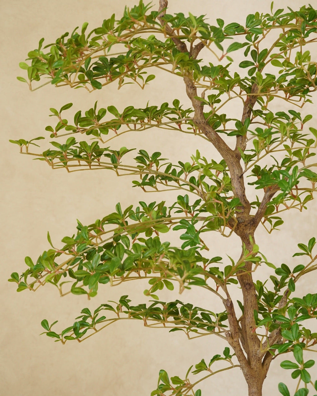 Faux Shady Lady Olive Tree 180CM