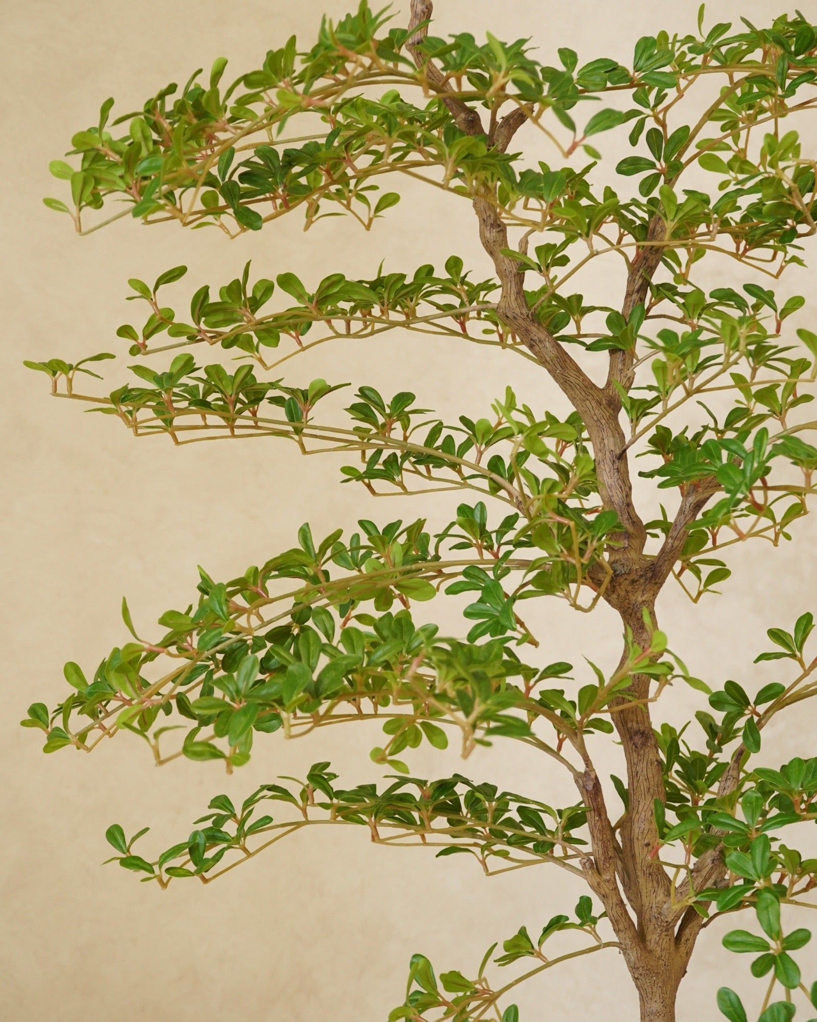 Faux Shady Lady Olive Tree 180CM