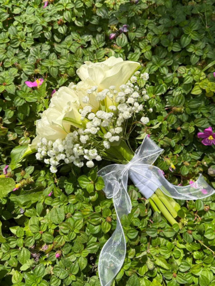 Purity