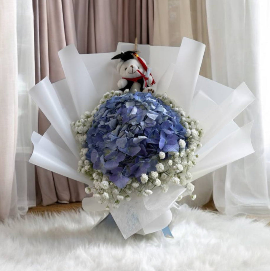 [GRAD] Dark Blue Hydrangea & Baby Breath Bouquet with Grad Bear