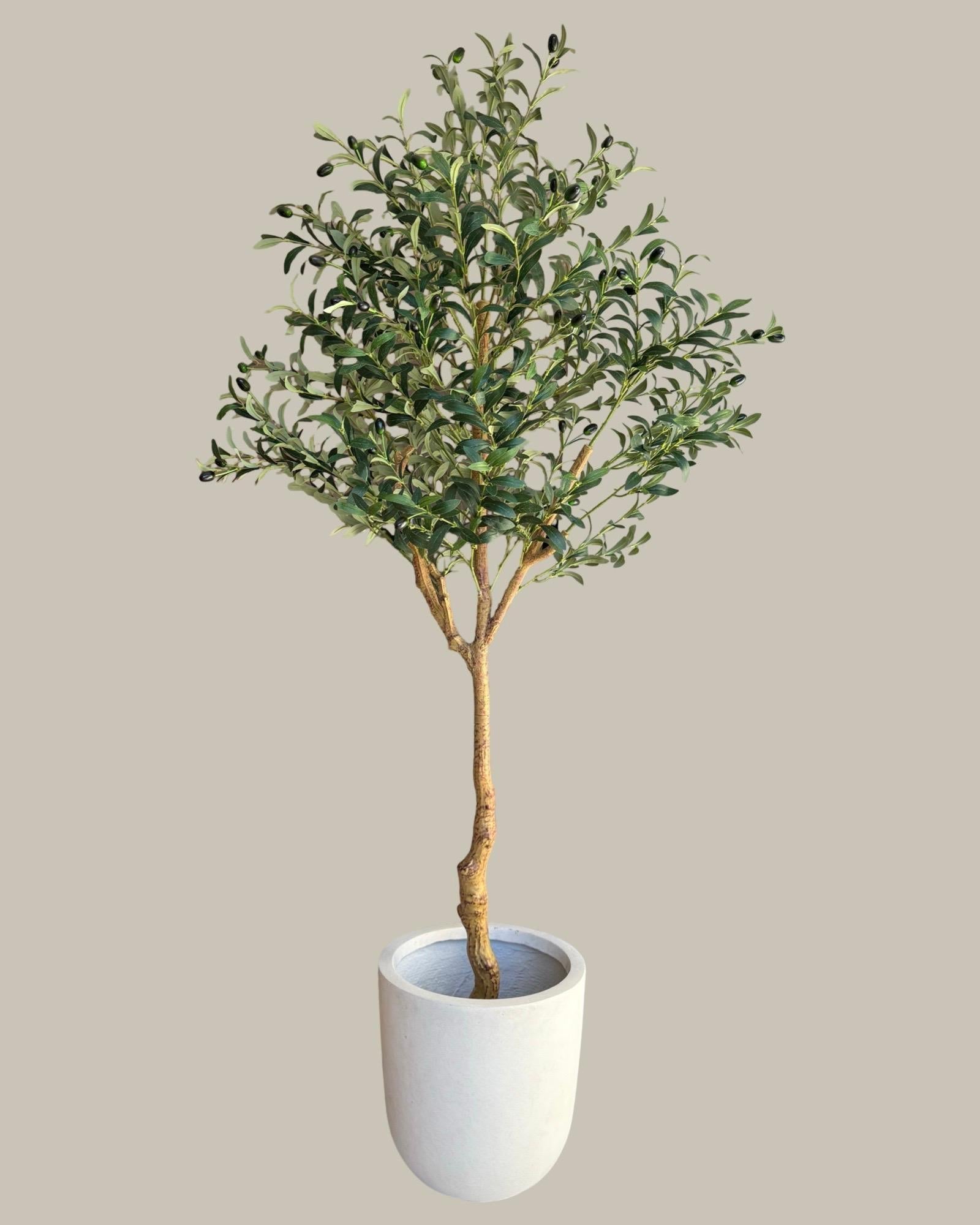 Faux Olive Tree 180CM