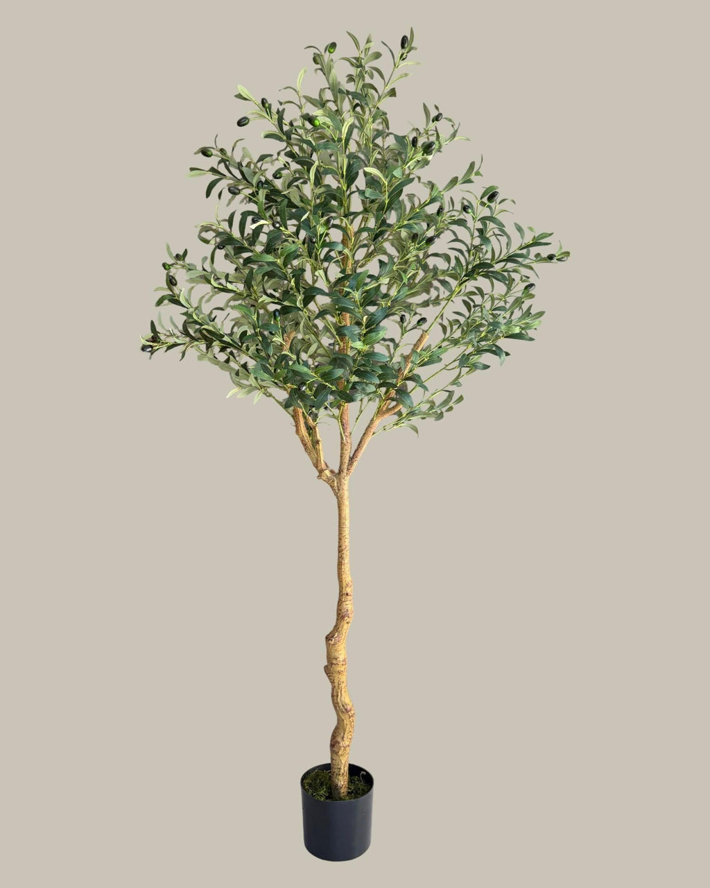Faux Olive Tree 180CM