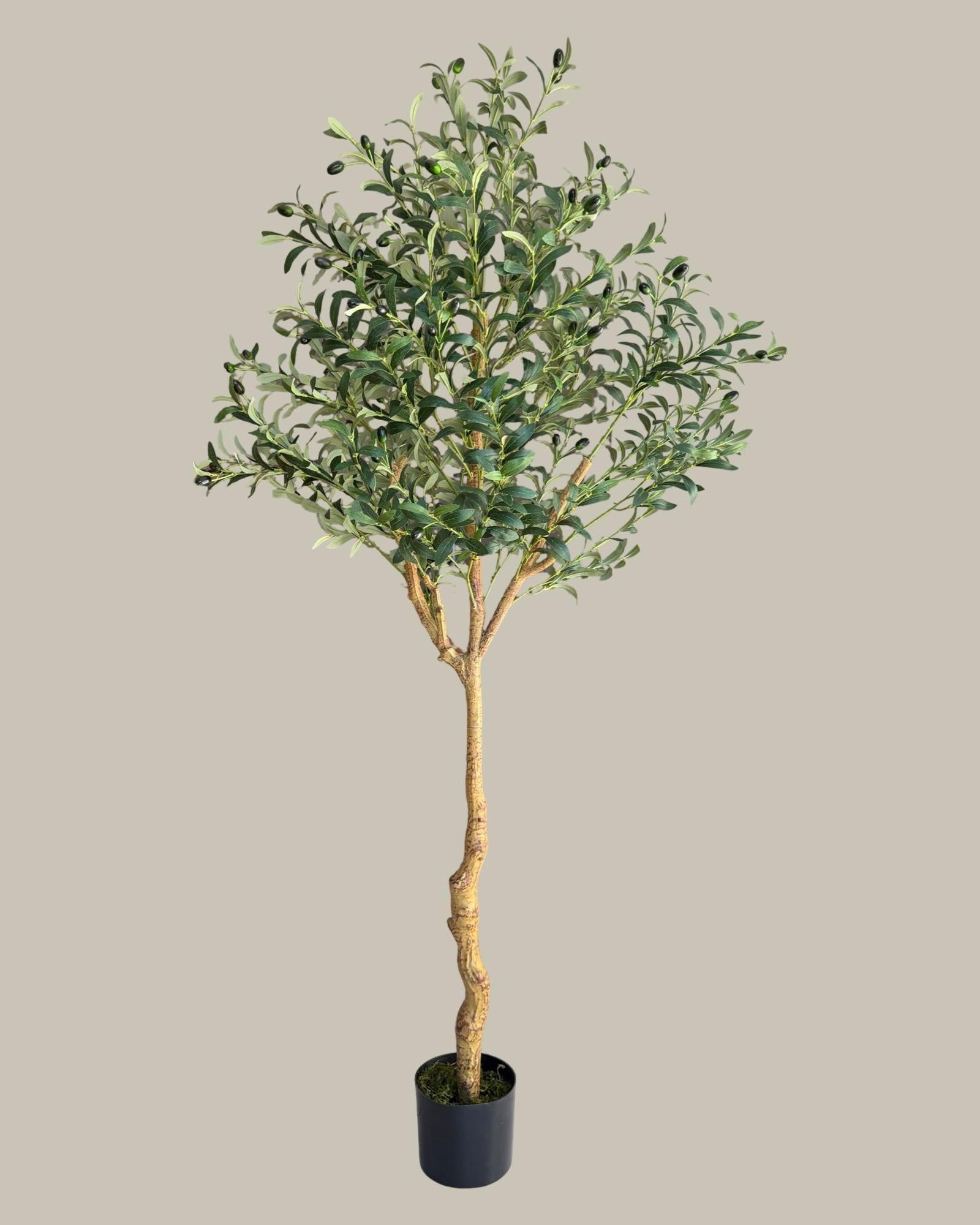 Faux Olive Tree 180CM
