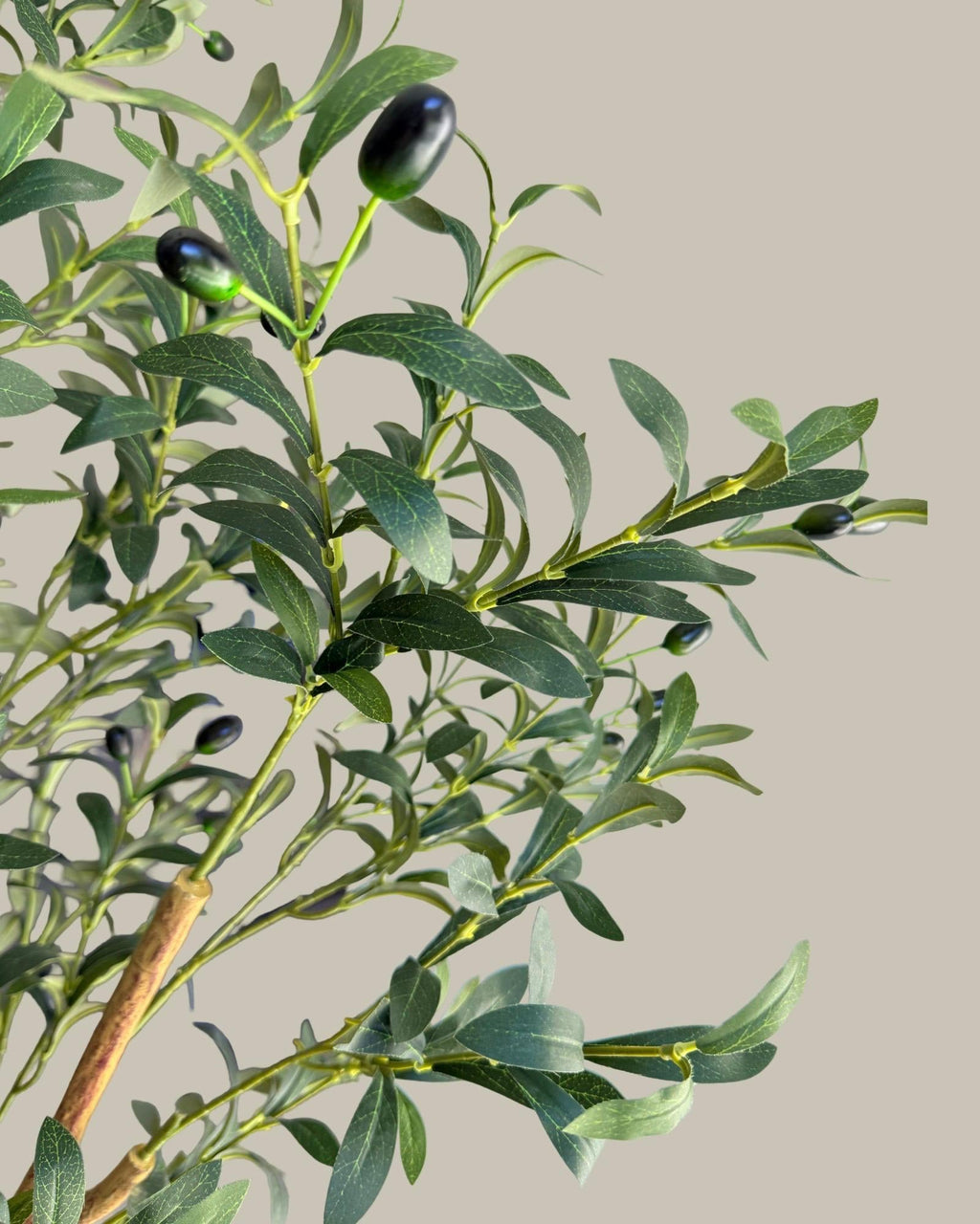 Faux Olive Tree 180CM