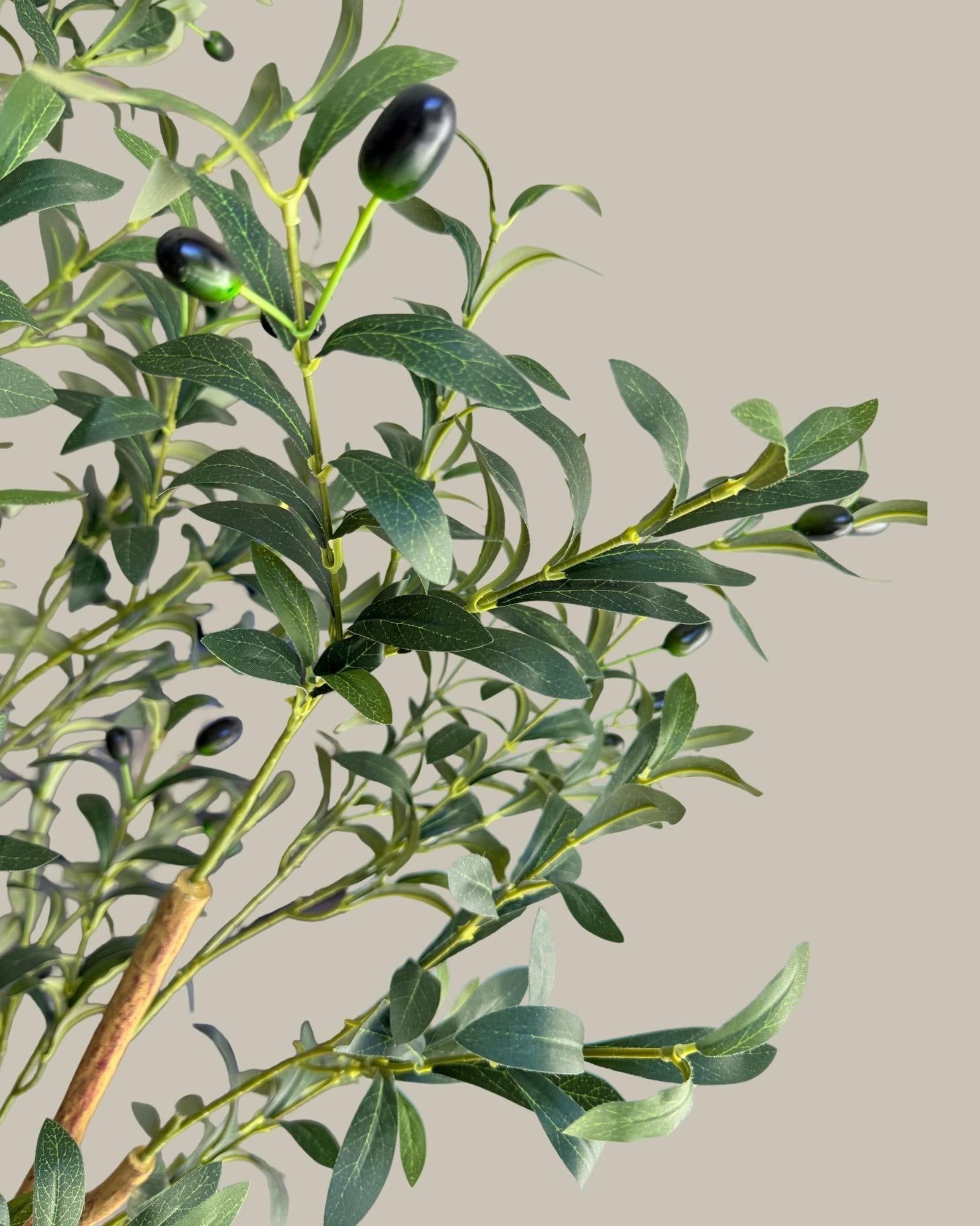 Faux Olive Tree 180CM