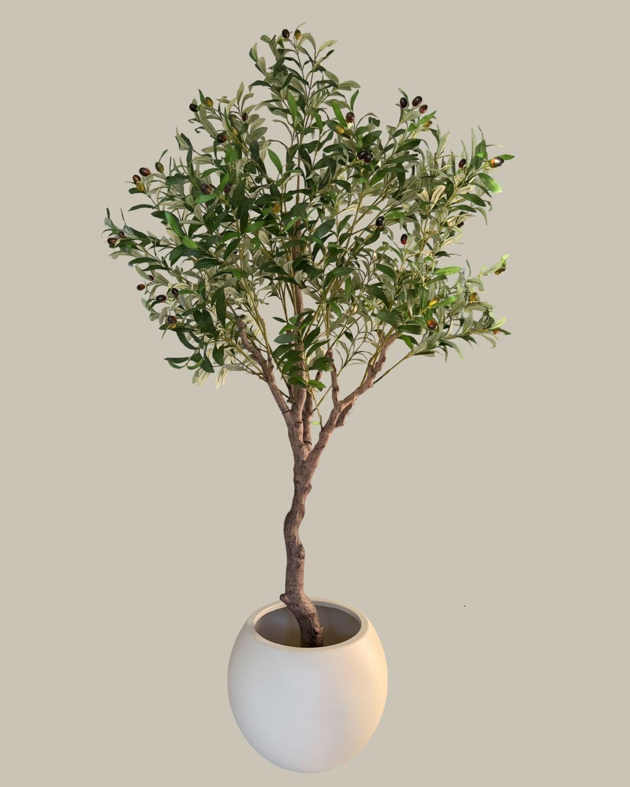 Faux Giant Multi Branch Olive Tree 1.8M