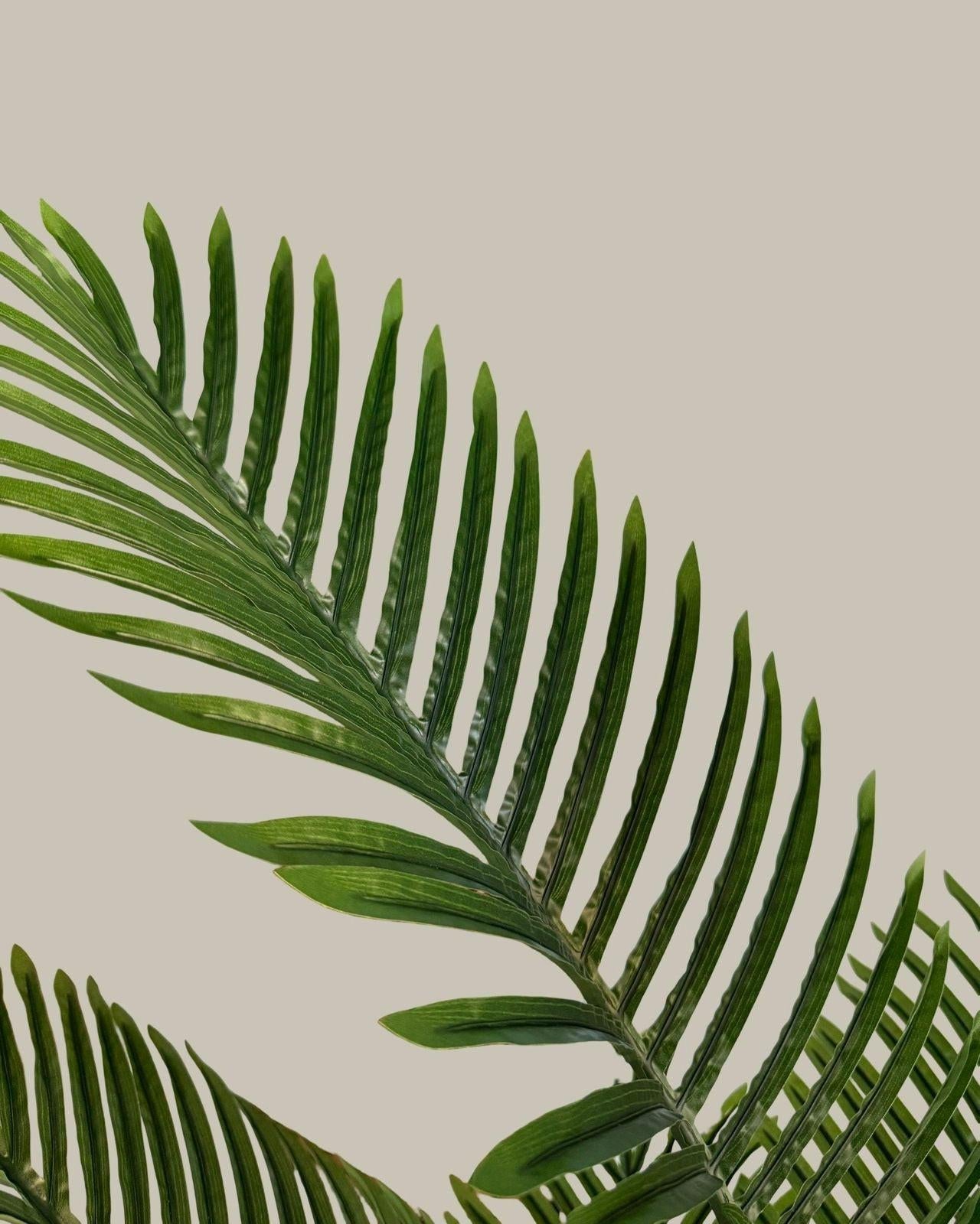 Faux Palm Tree 160CM