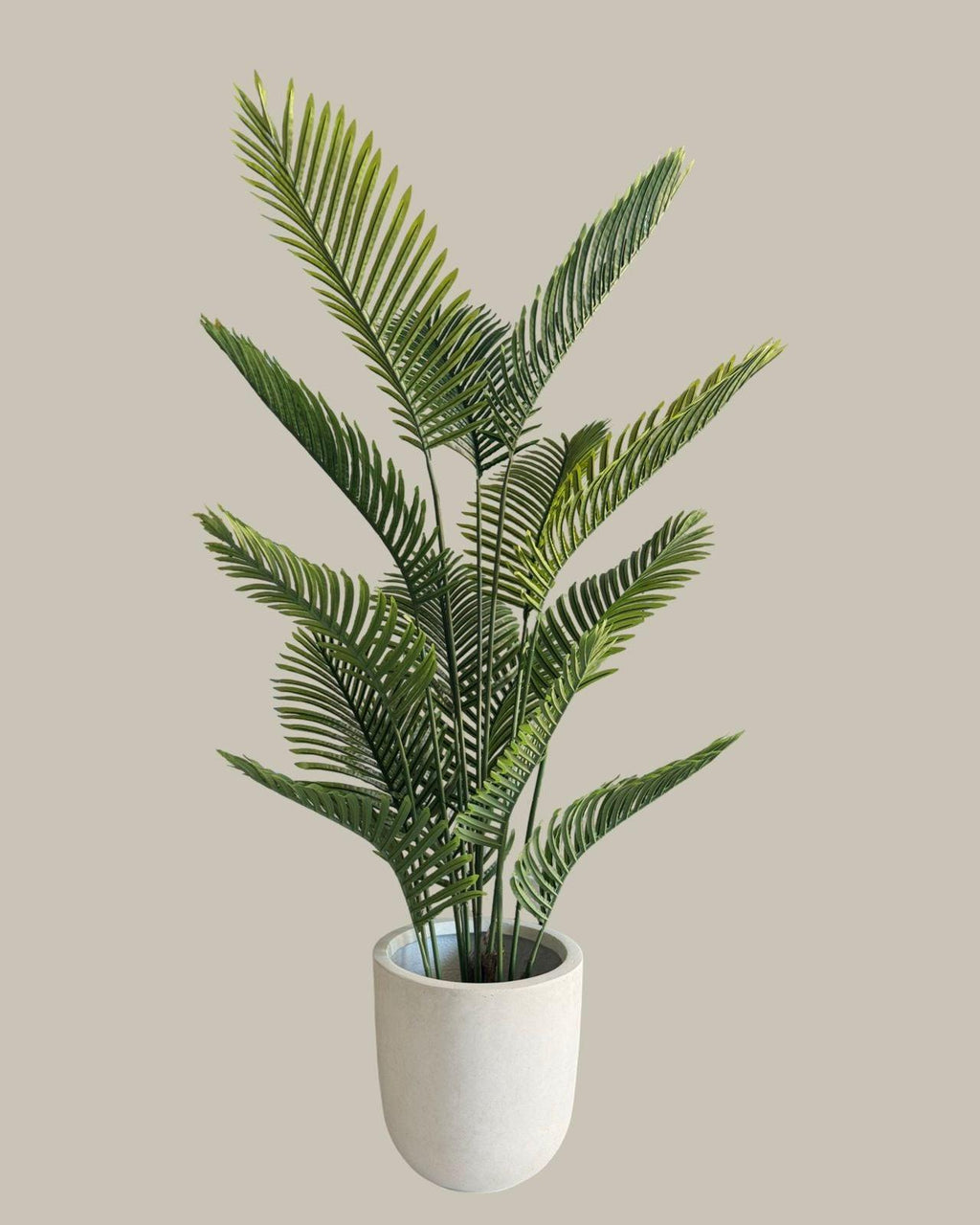 Faux Palm Tree 160CM