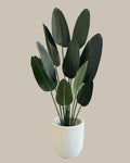 Faux Luxe Birds of Paradise 160CM