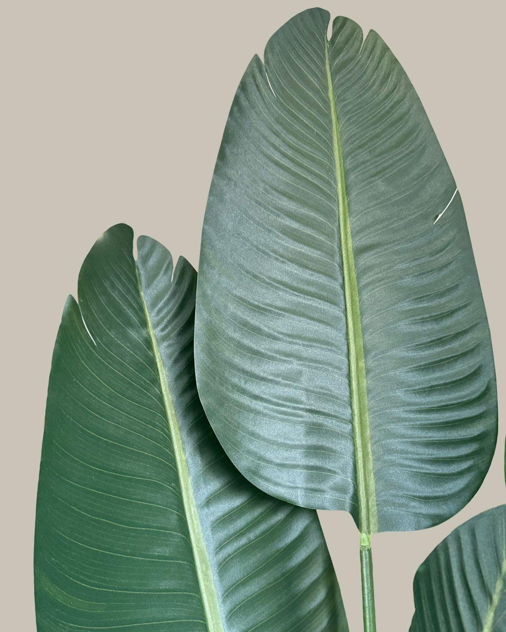 Faux Luxe Birds of Paradise 160CM