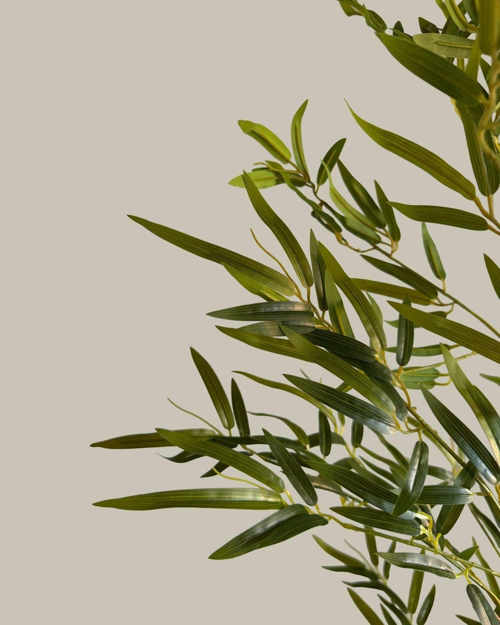 Faux Bamboo Tree with Real Bamboo Trunk 180CM