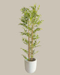 Faux Bamboo Tree with Real Bamboo Trunk 180CM