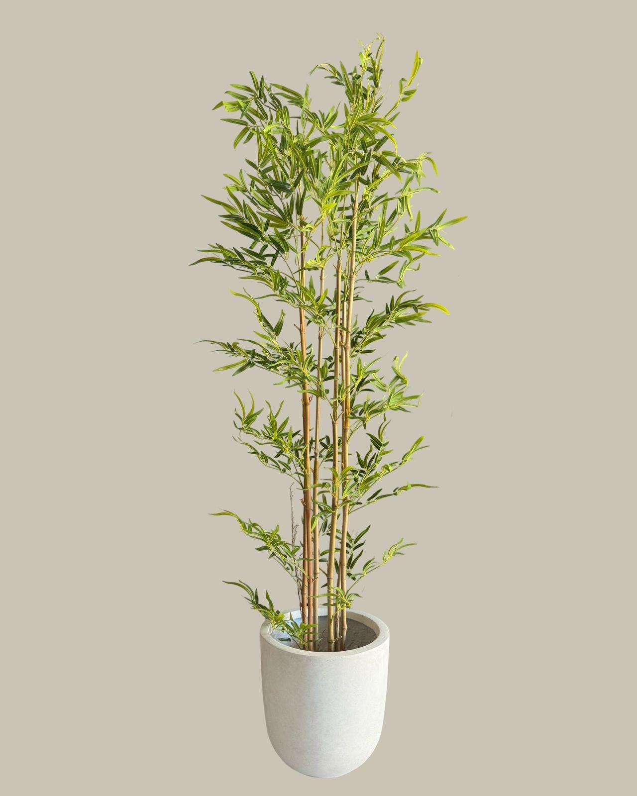 Faux Bamboo Tree with Real Bamboo Trunk 180CM