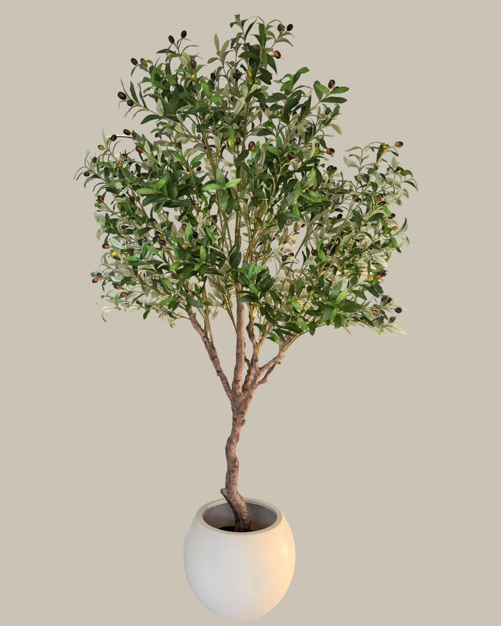 Faux Majestic Olive Tree 210CM