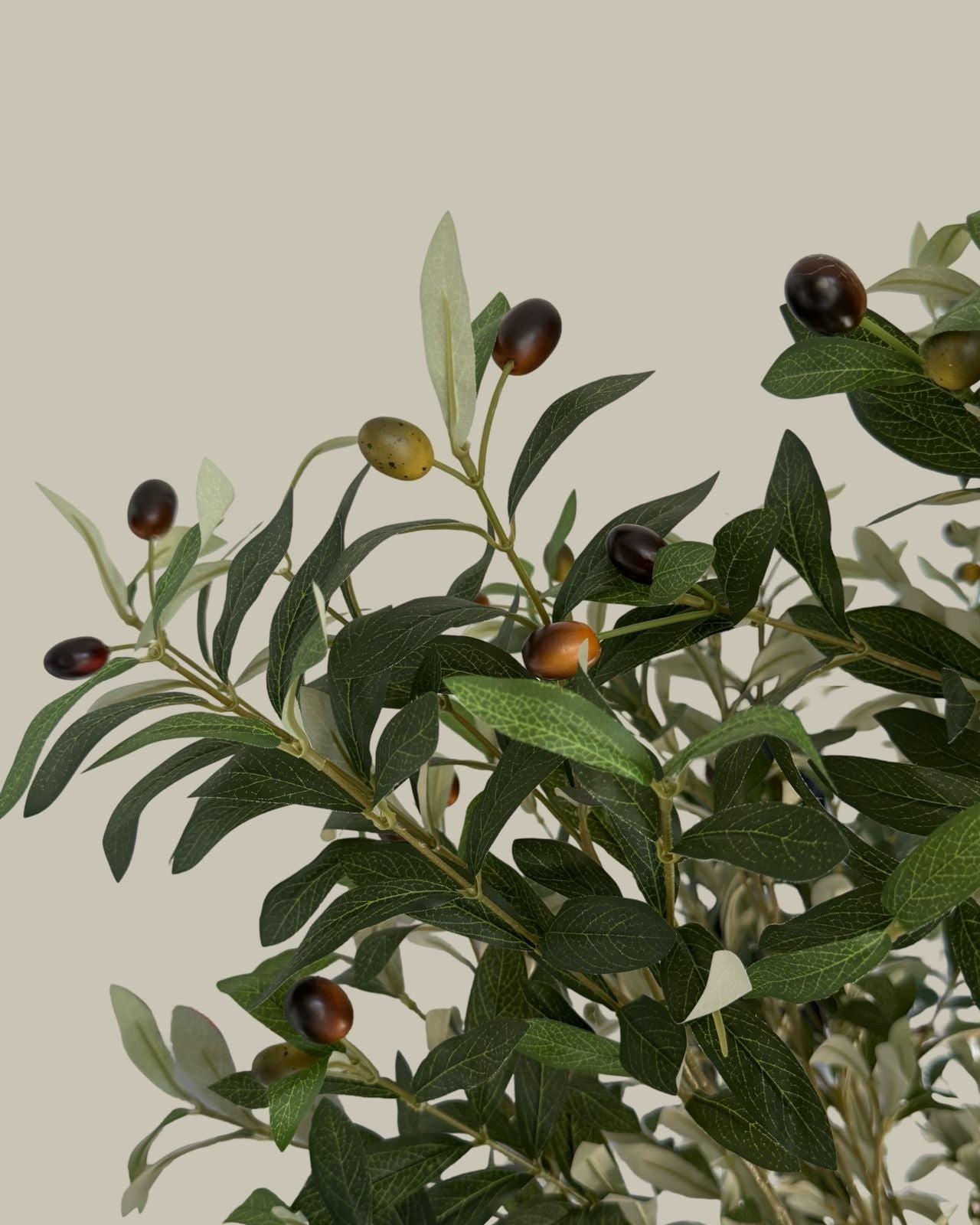 Faux Majestic Olive Tree 210CM
