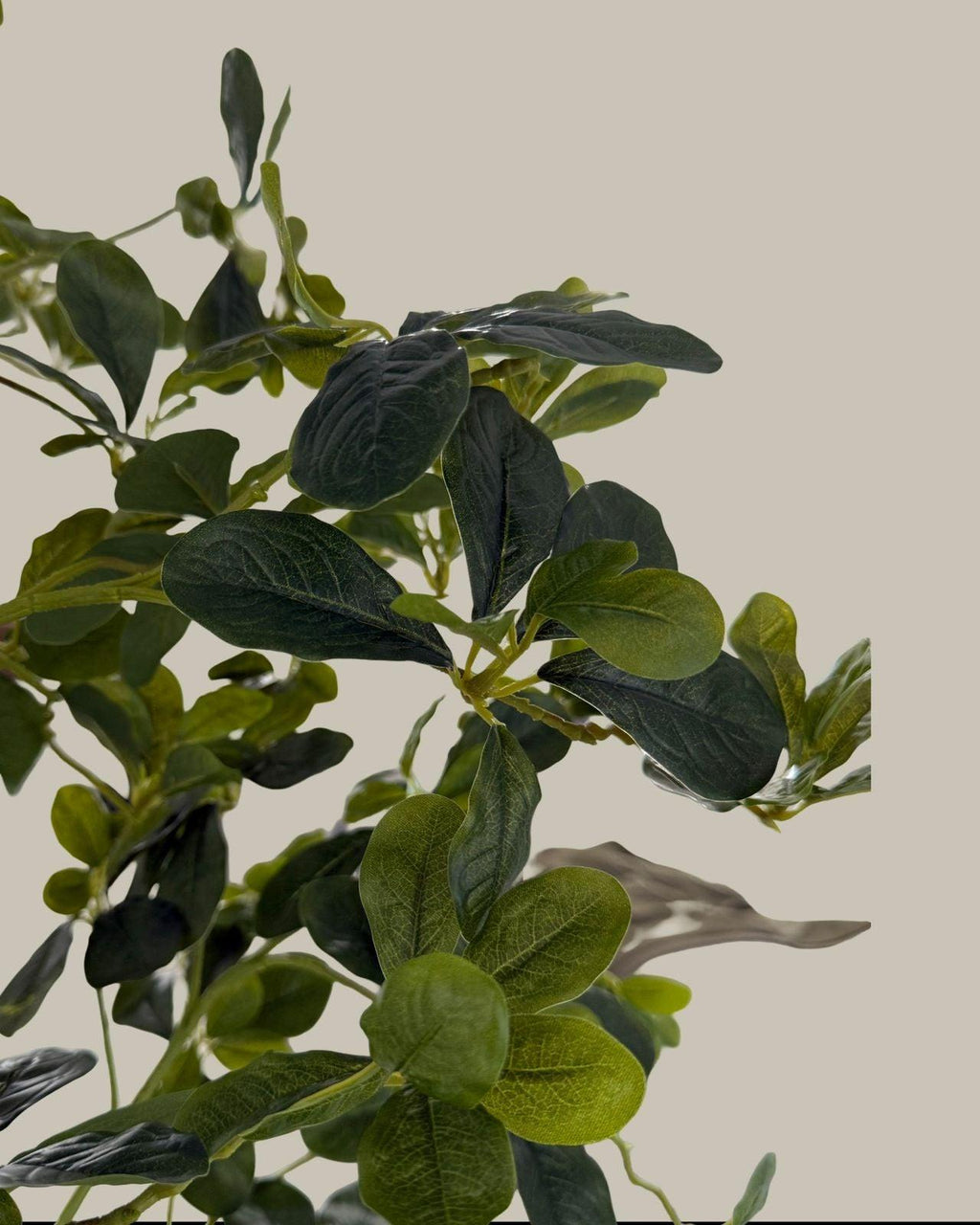 Faux Lifelike Black Olive Tree 180CM