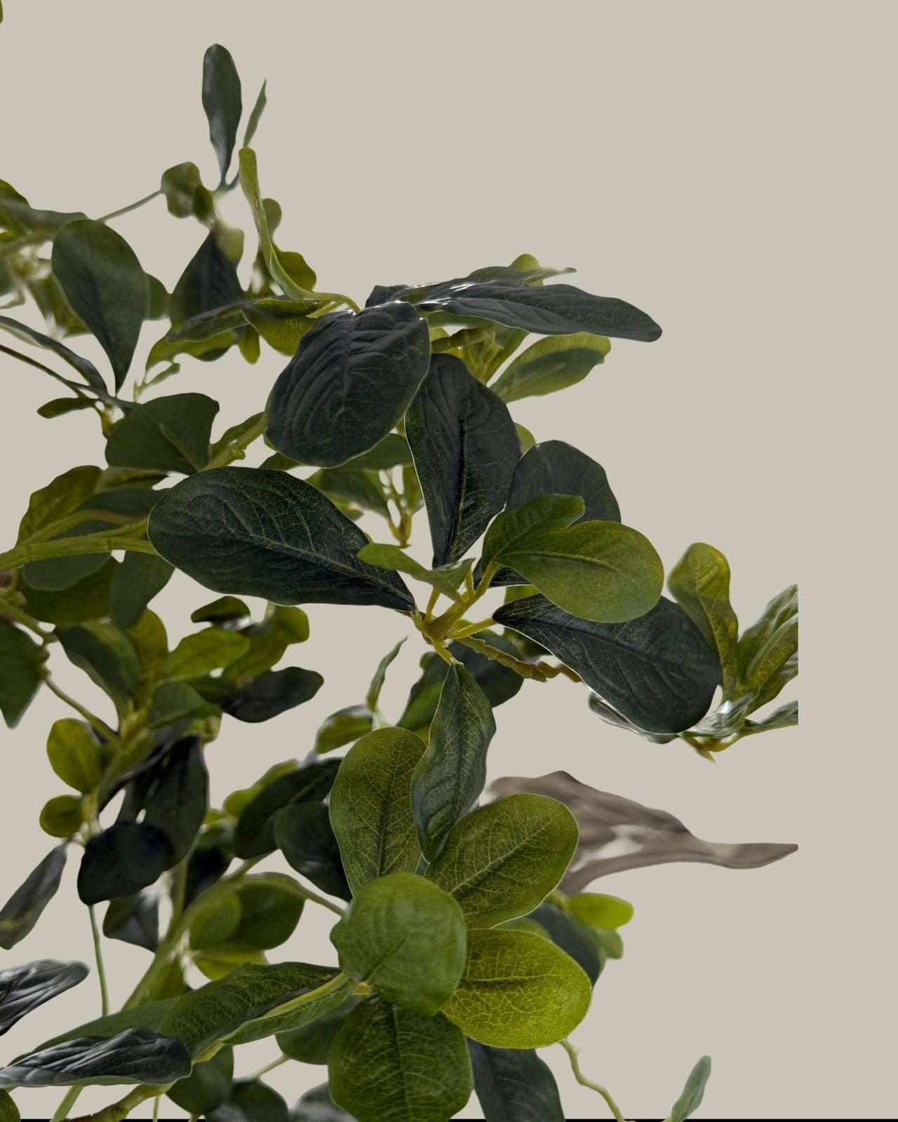 Faux Lifelike Black Olive Tree 180CM