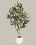 Faux Majestic Olive Tree 2.4M