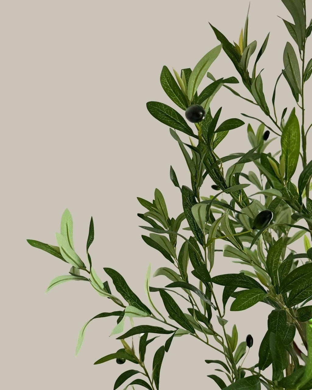 Faux Tall Multi Branch Olive Tree 180CM