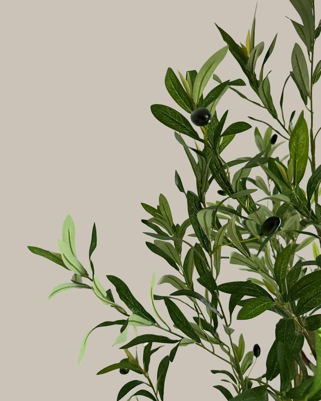 Faux Tall Multi Branch Olive Tree 180CM