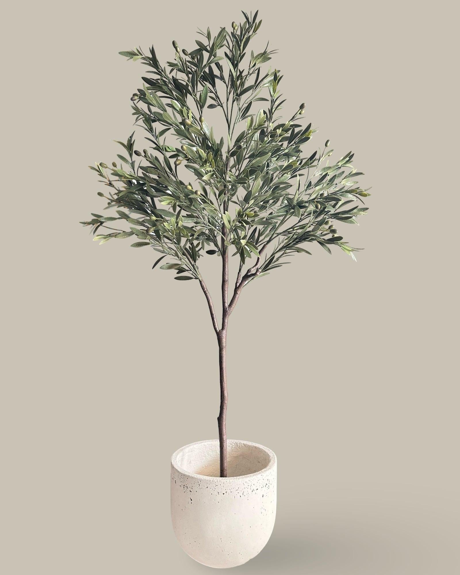 Faux Giant Olive Tree 180CM