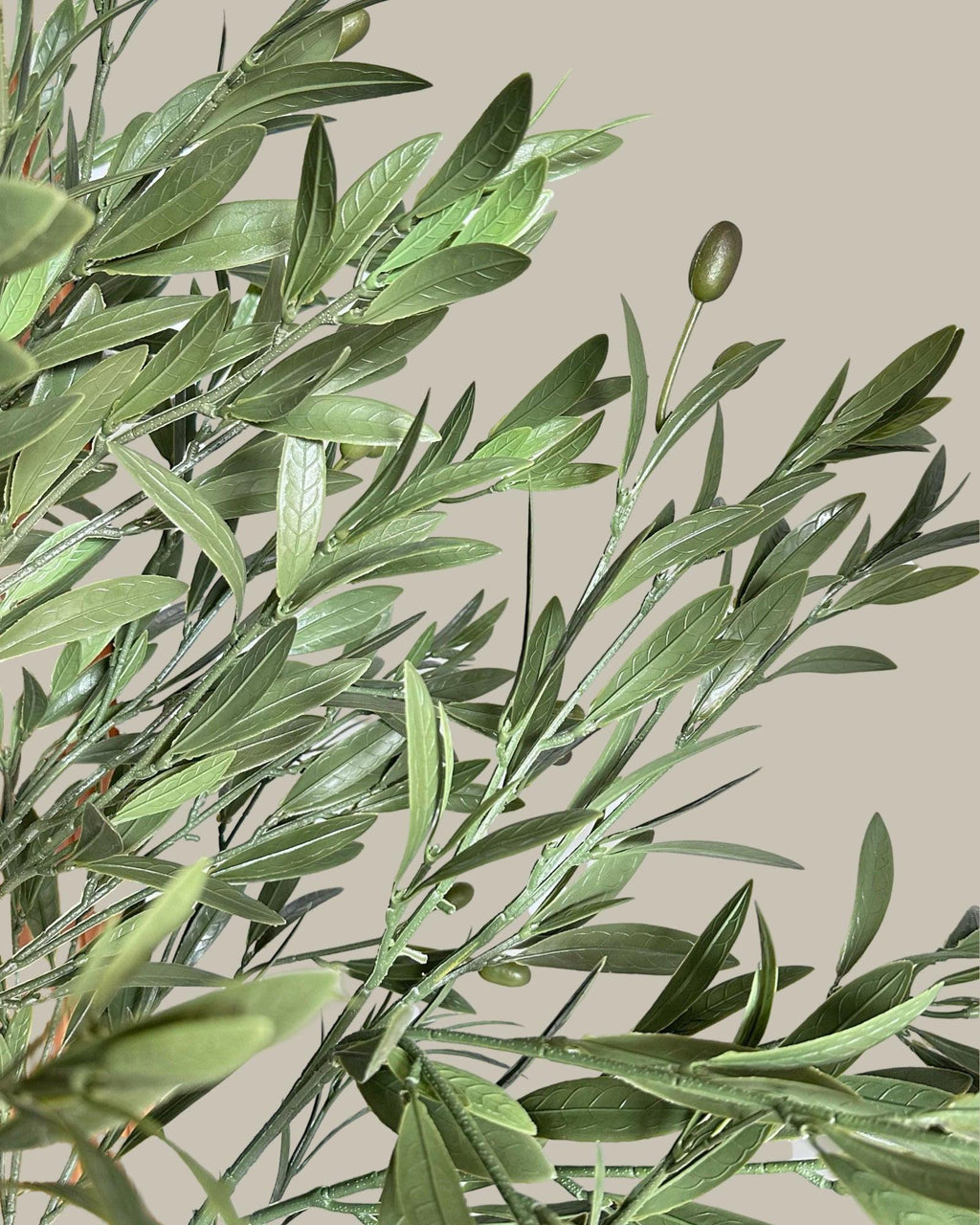 Faux Giant Olive Tree 180CM