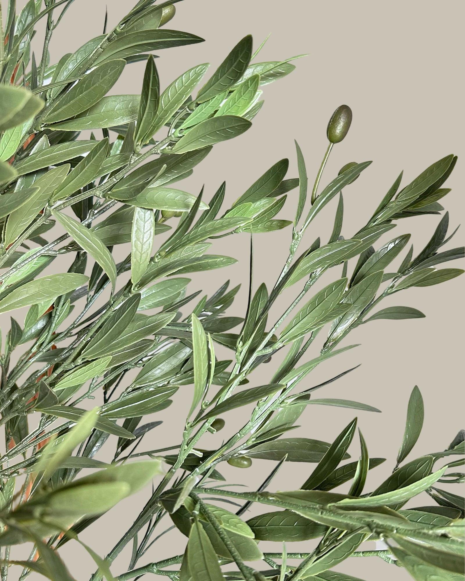 Faux Giant Olive Tree 180CM