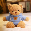 Hoodie Bear Blue 30cm